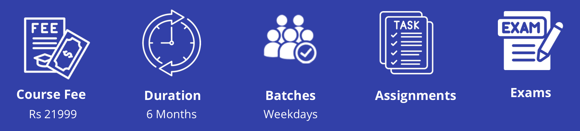 Professional Program Banner